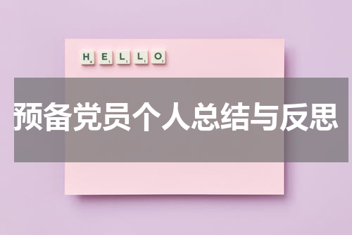 预备党员个人总结与反思