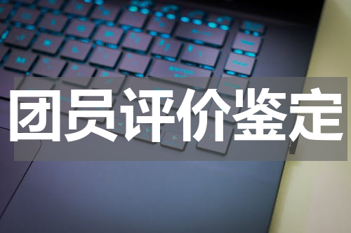 团员评价鉴定