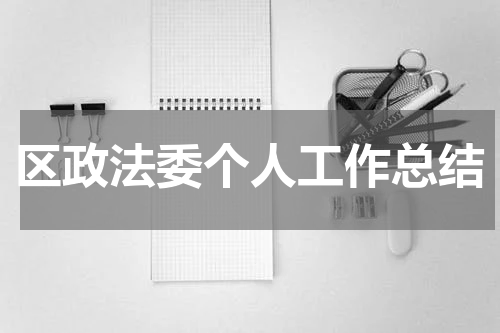 区政法委个人工作总结