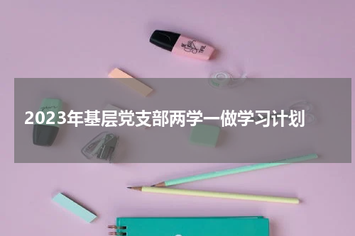 2023年基层党支部两学一做学习计划