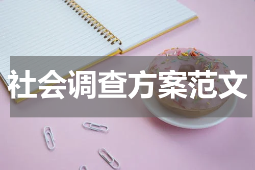 社会调查方案范文