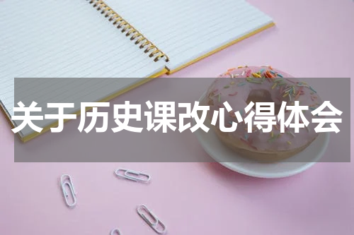 关于历史课改心得体会