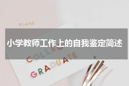 小学教师工作上的自我鉴定简述