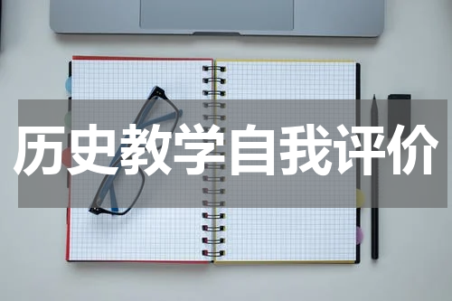 历史教学自我评价