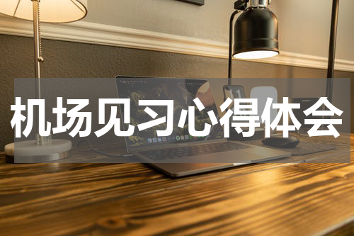 机场见习心得体会