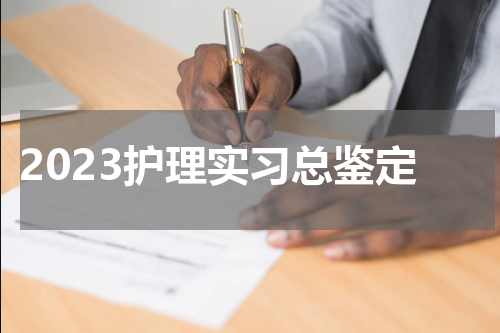 2023护理实习总鉴定