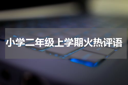 小学二年级上学期火热评语