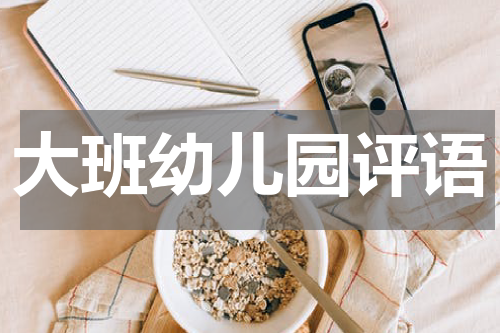 大班幼儿园评语