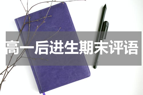 高一后进生期末评语