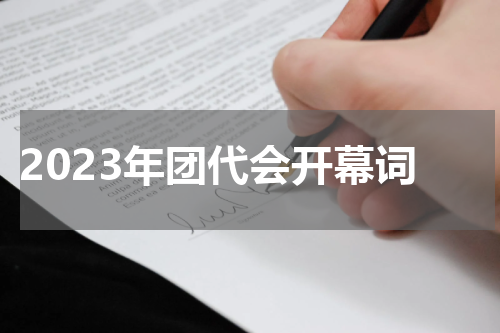 2023年团代会开幕词