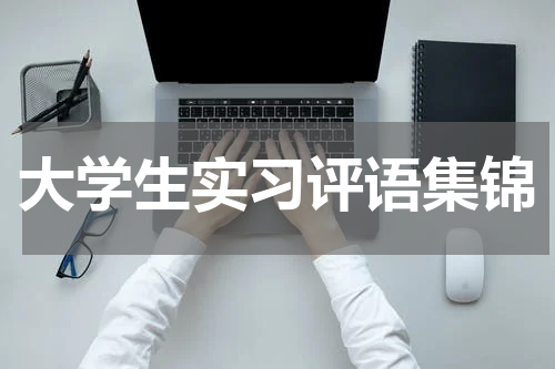大学生实习评语集锦