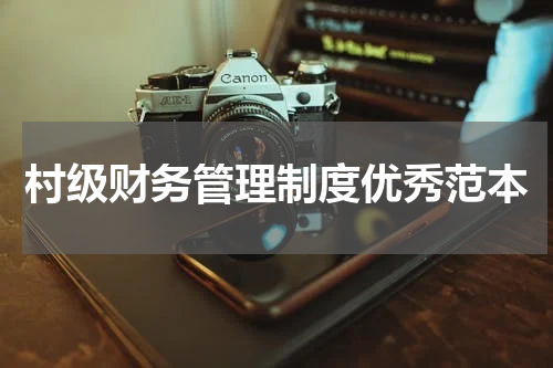 村级财务管理制度优秀范本