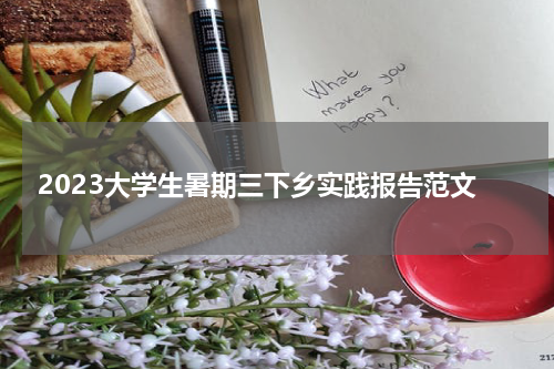 2023大学生暑期三下乡实践报告范文