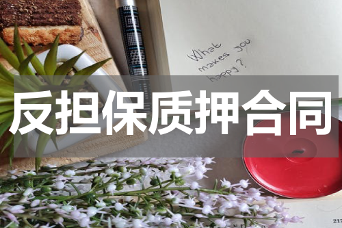 反担保质押合同
