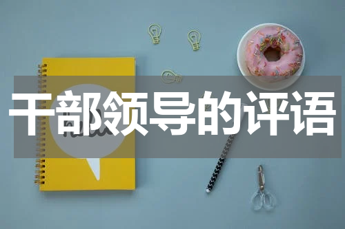 干部领导的评语