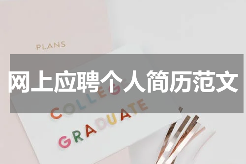 网上应聘个人简历范文
