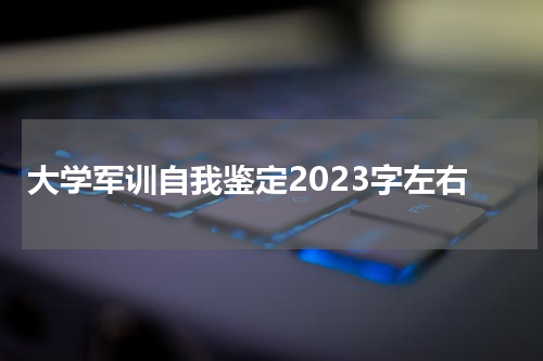 大学军训自我鉴定2023字左右