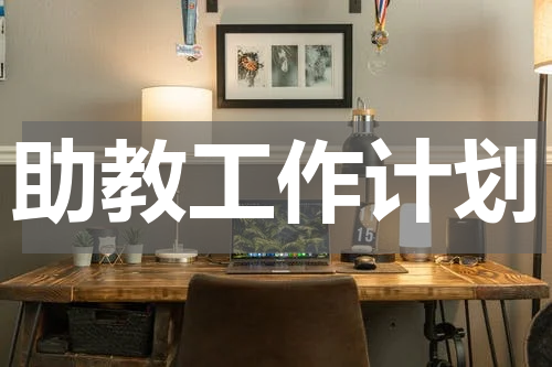 助教工作计划