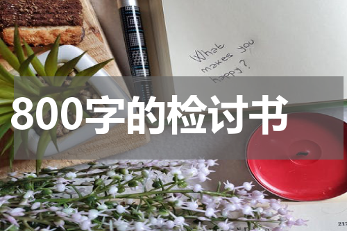 800字的检讨书