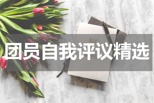 团员自我评议精选
