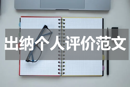 出纳个人评价范文