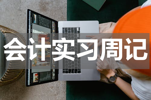 会计实习周记
