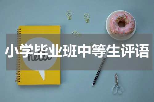 小学毕业班中等生评语