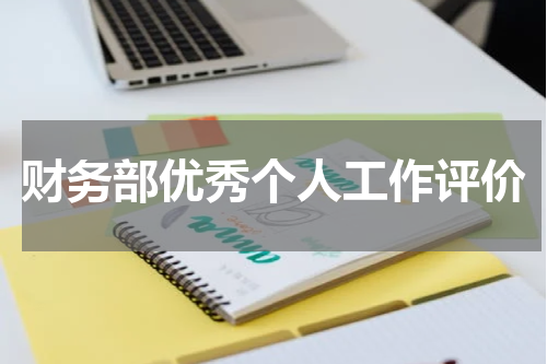 财务部优秀个人工作评价
