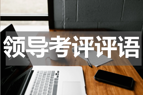 领导考评评语