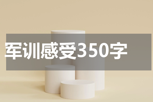 军训感受350字
