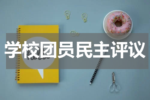 学校团员民主评议