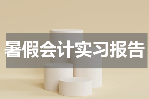 暑假会计实习报告