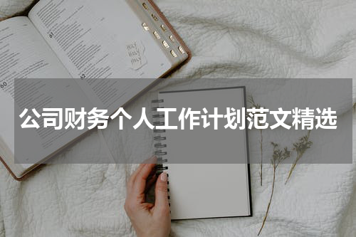 公司财务个人工作计划范文精选