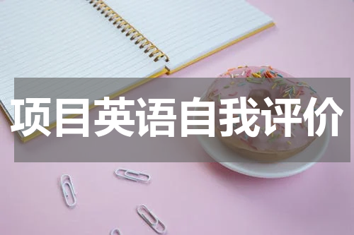 项目英语自我评价