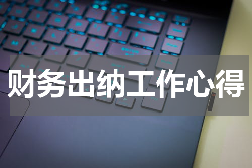 财务出纳工作心得