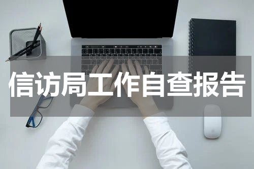 信访局工作自查报告