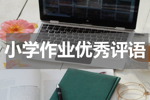小学作业优秀评语