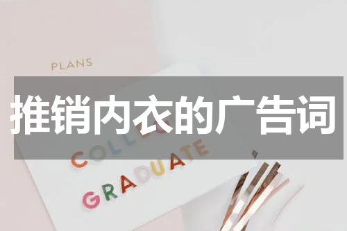 推销内衣的广告词