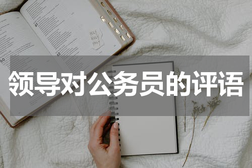 领导对公务员的评语