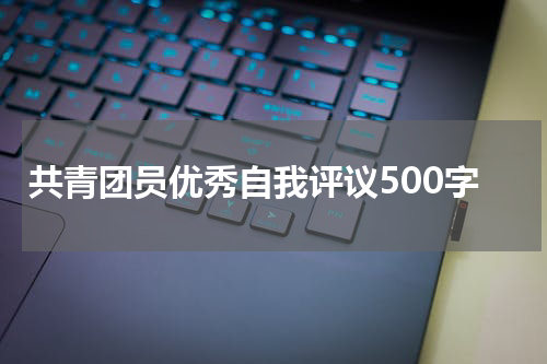 共青团员优秀自我评议500字