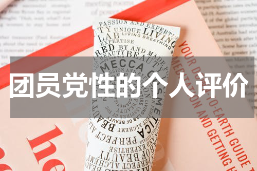 团员党性的个人评价