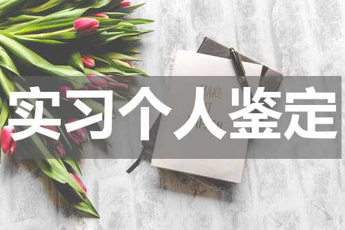实习个人鉴定