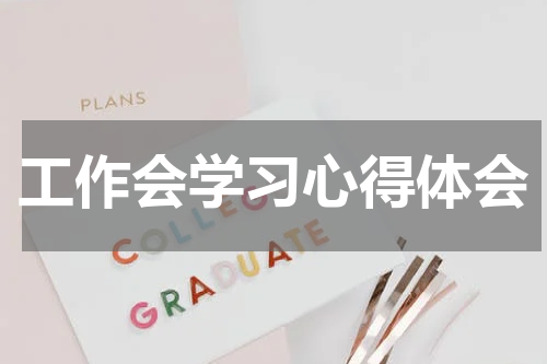 工作会学习心得体会