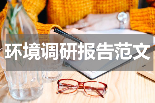 环境调研报告范文
