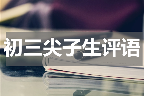 初三尖子生评语