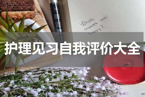护理见习自我评价大全