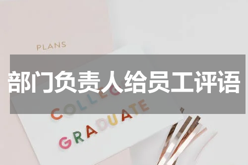 部门负责人给员工评语