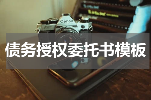 债务授权委托书模板