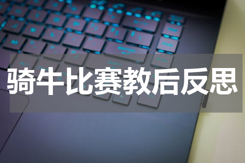 骑牛比赛教后反思