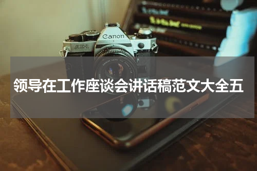 领导在工作座谈会讲话稿范文大全五